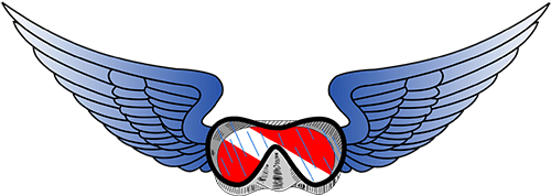Company: Sneak peek - Diving class