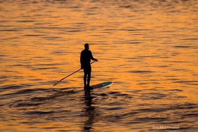 Event: The YV Paddle Party